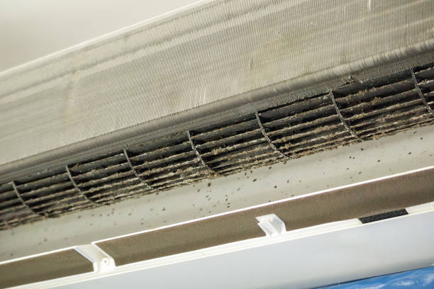 Best Affordable HVAC Duct Cleaning  in Leesburg, VA